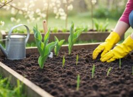 Abenteuer im Frühlingsgarten im Freien